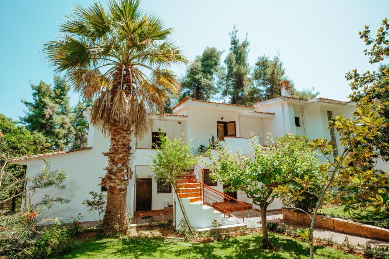 Forest House Near The Sea Sani  Esterno foto