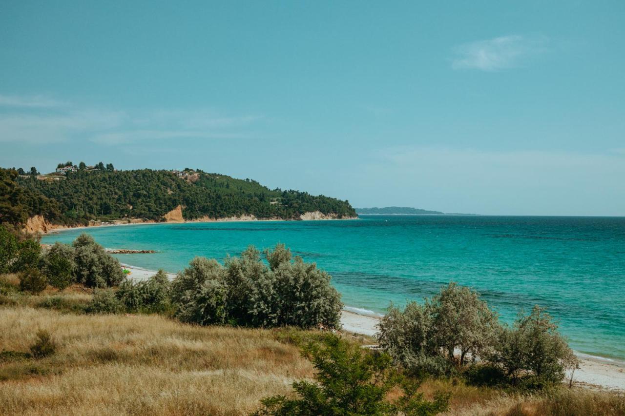 Forest House Near The Sea Sani  Esterno foto